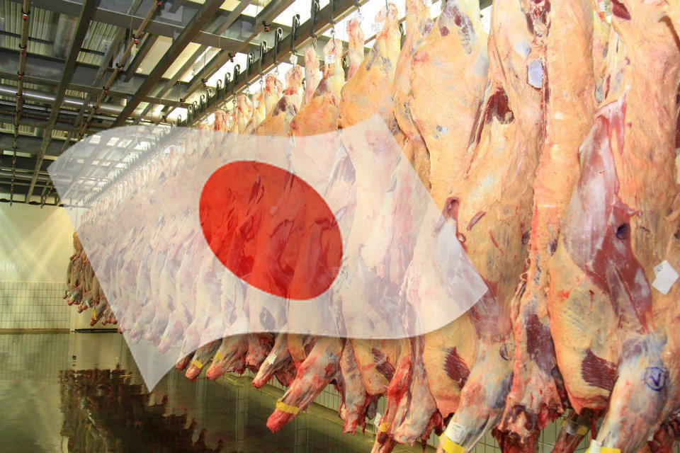 China e Brasil Implementam Plano de Rastreabilidade de Carne Bovina para Sustentabilidade"