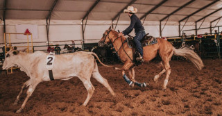 Ranch Sorting - 2 foto 3k Studio MSM