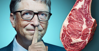 bill gates silencio - anti-carne