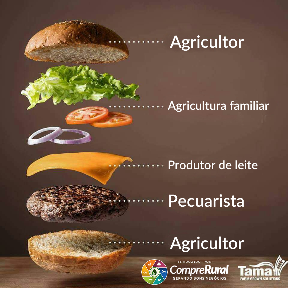 hamburguer - produzido pelo produtor rural