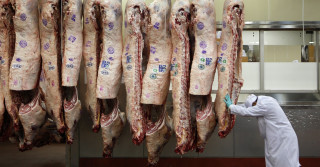 exportações de carne bovina