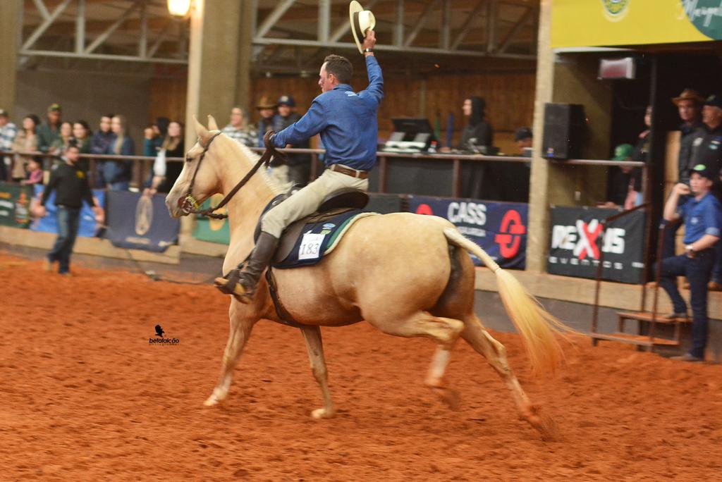 44ª Exposição Nacional do Cavalo Mangalarga reuniu competidores de oito estados do país (2)