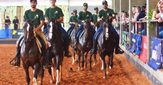 ABCCRM comemora 88 anos de trabalho em prol da raça Mangalarga do Brasil