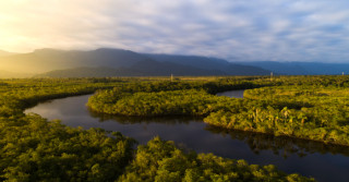 Amazônia: queimadas diminuíram 14% até agosto deste ano na região.