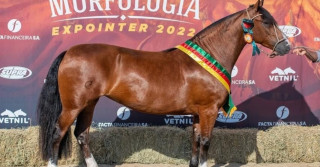 Aparecida da Tropilha Padroeira - Crédito Felipe Ulbrich Divulgação