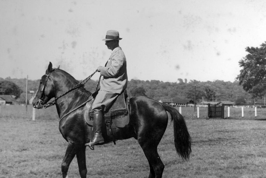 Celso Junqueira ABCCRM comemora 88 anos de trabalho em prol da raça Mangalarga do Brasil