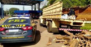 Insumos falsos e contrabandeados são um risco ao agro brasileiro