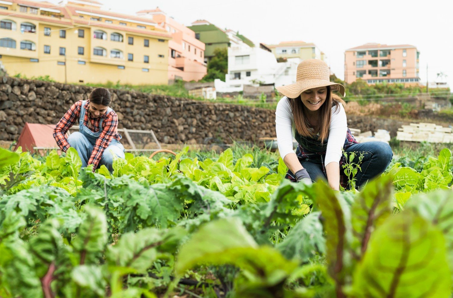 Mulheres são proprietárias de somente 19% dos estabelecimentos agrícolas