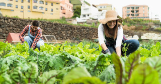 Mulheres são proprietárias de somente 19% dos estabelecimentos agrícolas