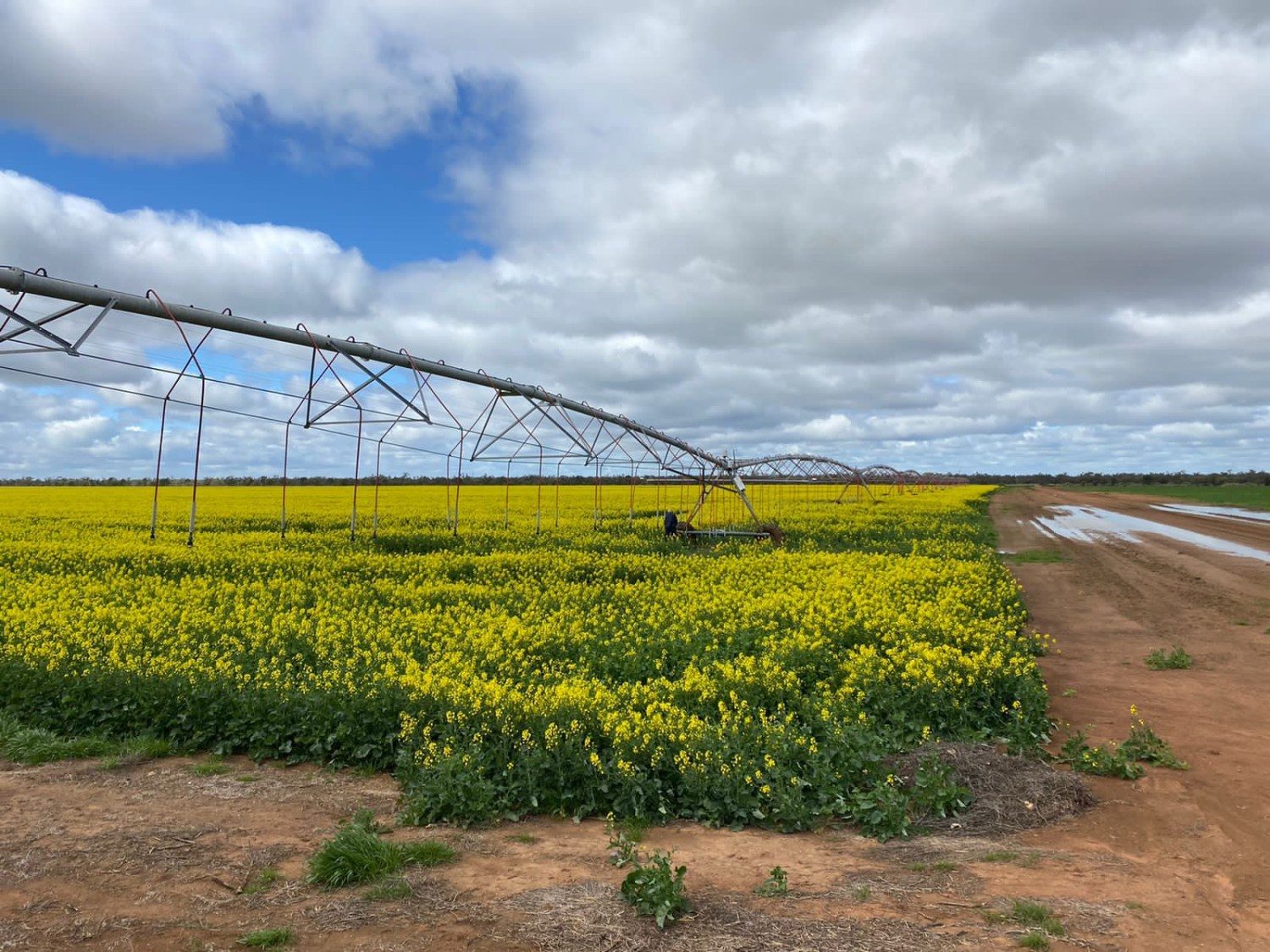 Sistema de irrigação na Austrália