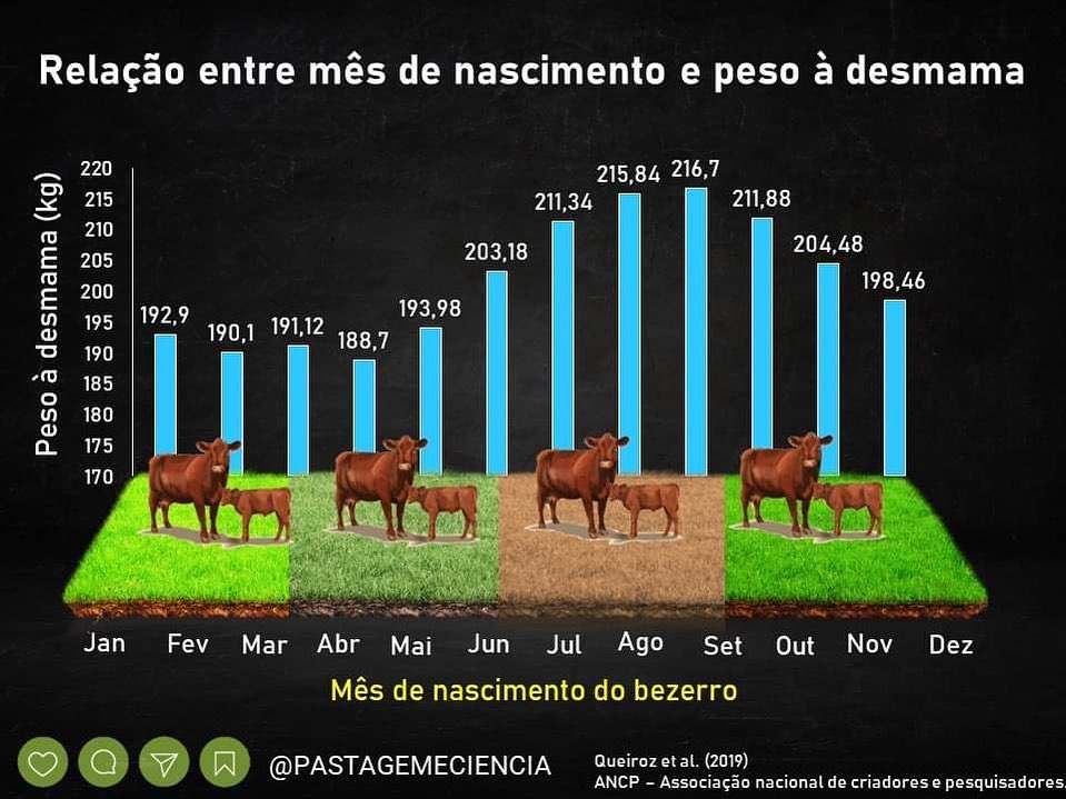 relacao entre mes de nascimento e peso a desmama