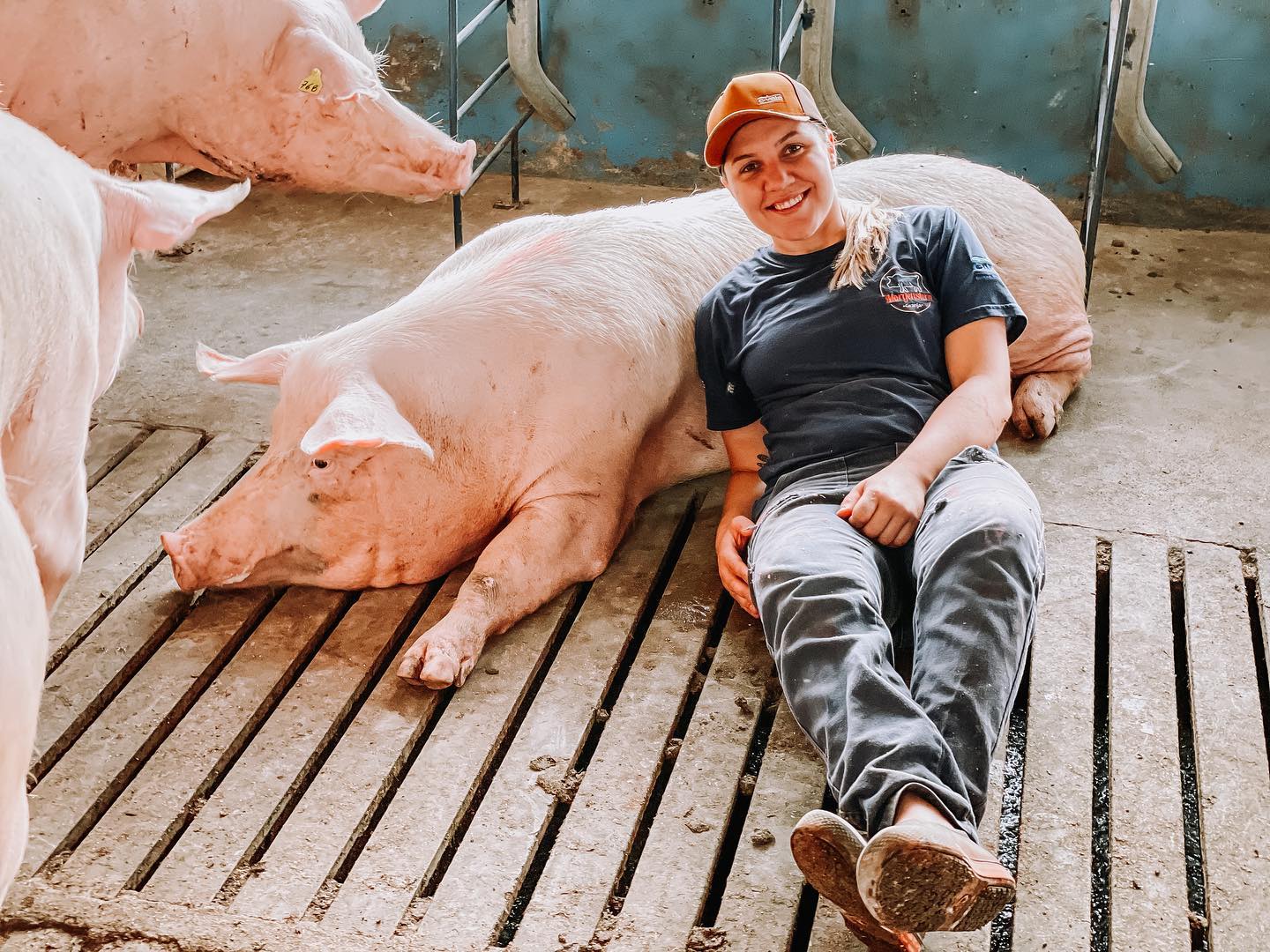 Boa e barata, carne suína brasileira ganha destaque mundial