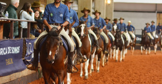 Exposição Regional do Cavalo Mangalarga deve receber o dobro de animais em Rio Preto (SP)