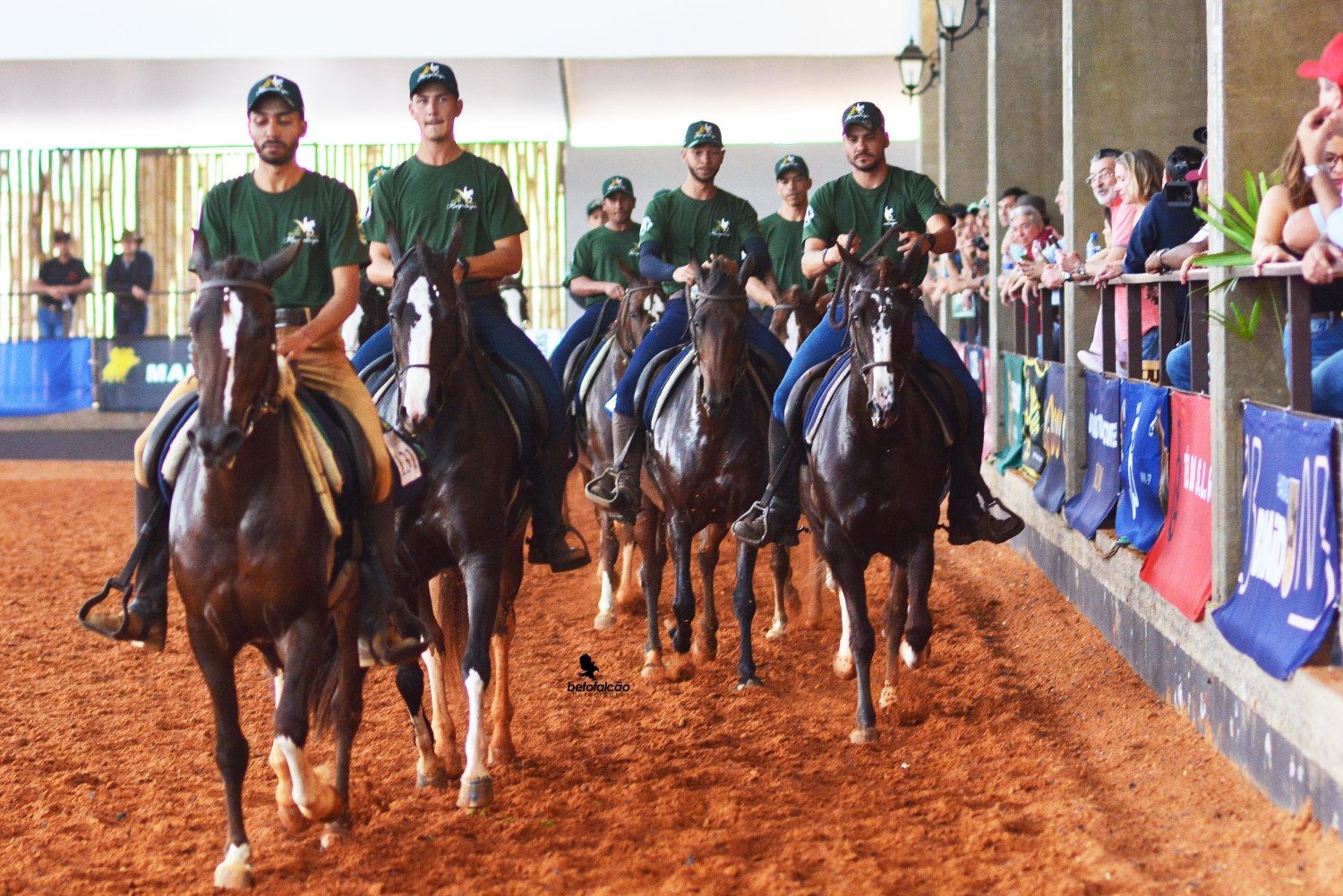 Exposição Regional do Cavalo Mangalarga deve receber o dobro de animais em Rio Preto (SP)