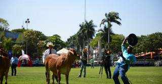 Jurado internacional PJ Budler atuando na 18ª ExpoBrahman