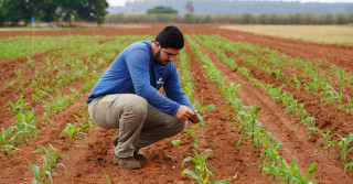 Artigo-Bioinsumos-mudam-o-olhar-no-campo