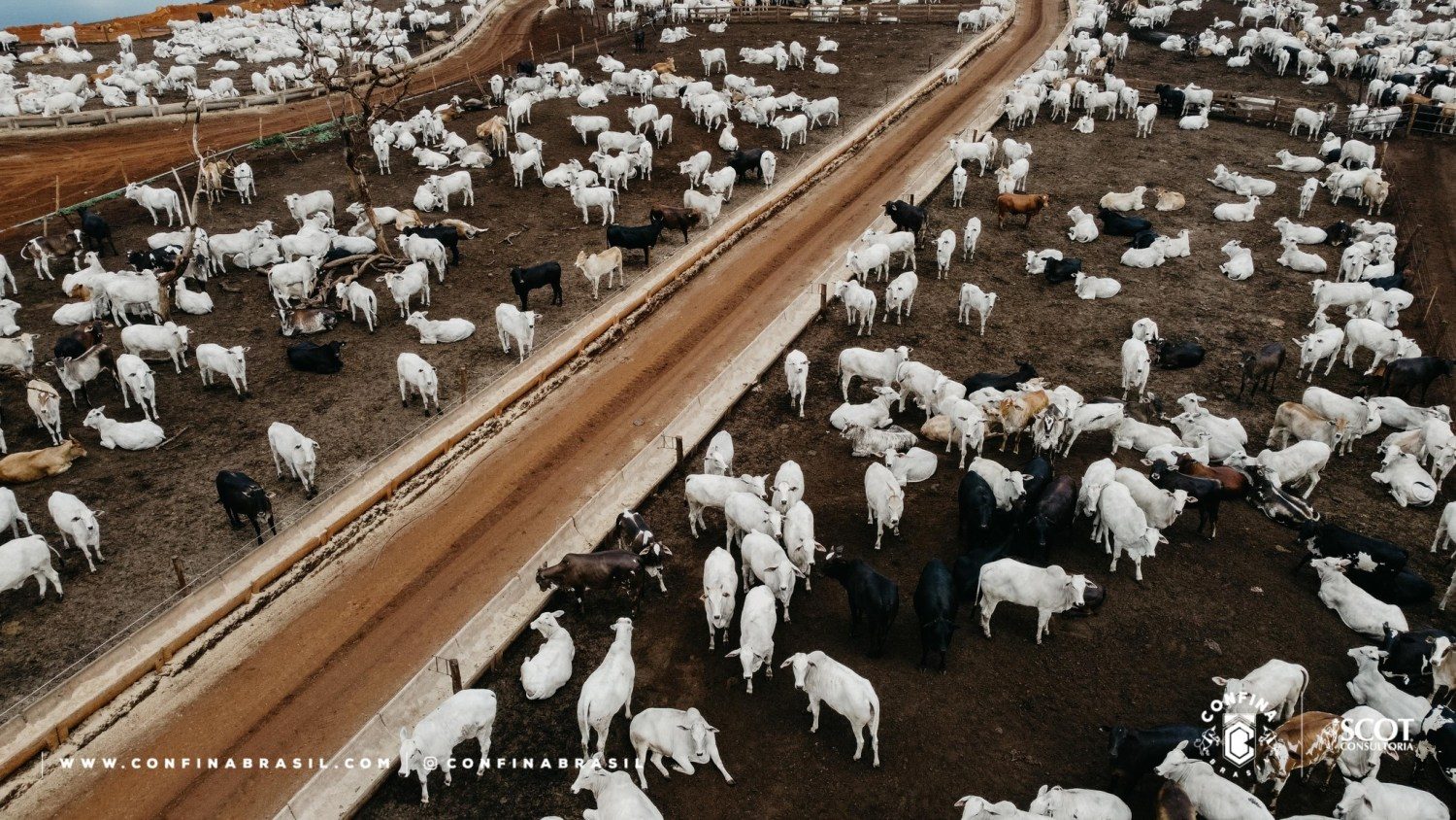 Fazenda Santa Bárbara - Goiatuba-GO - Foto Confina Brasil