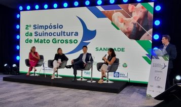 Ambiente adequado aumenta ganho de peso e produtividade na suinocultura