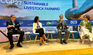 COP 27: Brasil debate o papel da pecuária sustentável do país para a manutenção da segurança alimentar global