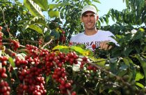 Produtores de café conhecerão o que é o Comércio Justo durante a SIC 2022