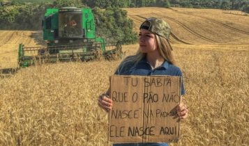 Agronegócio no Brasil: qual a importância para o país?