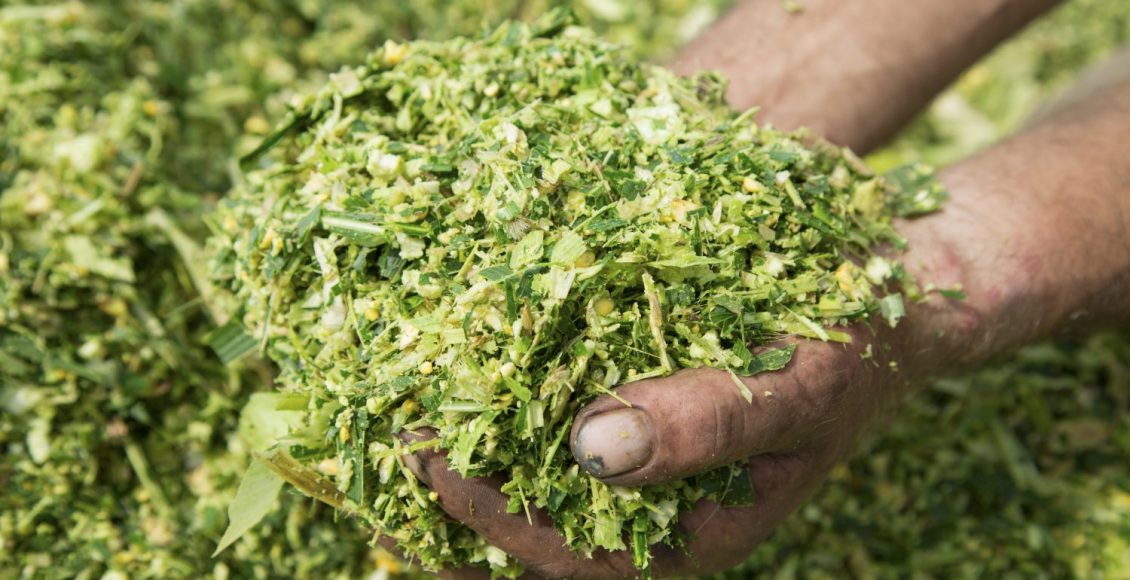 Escolha da lona correta garante silagem de qualidade e mais rentabilidade no campo