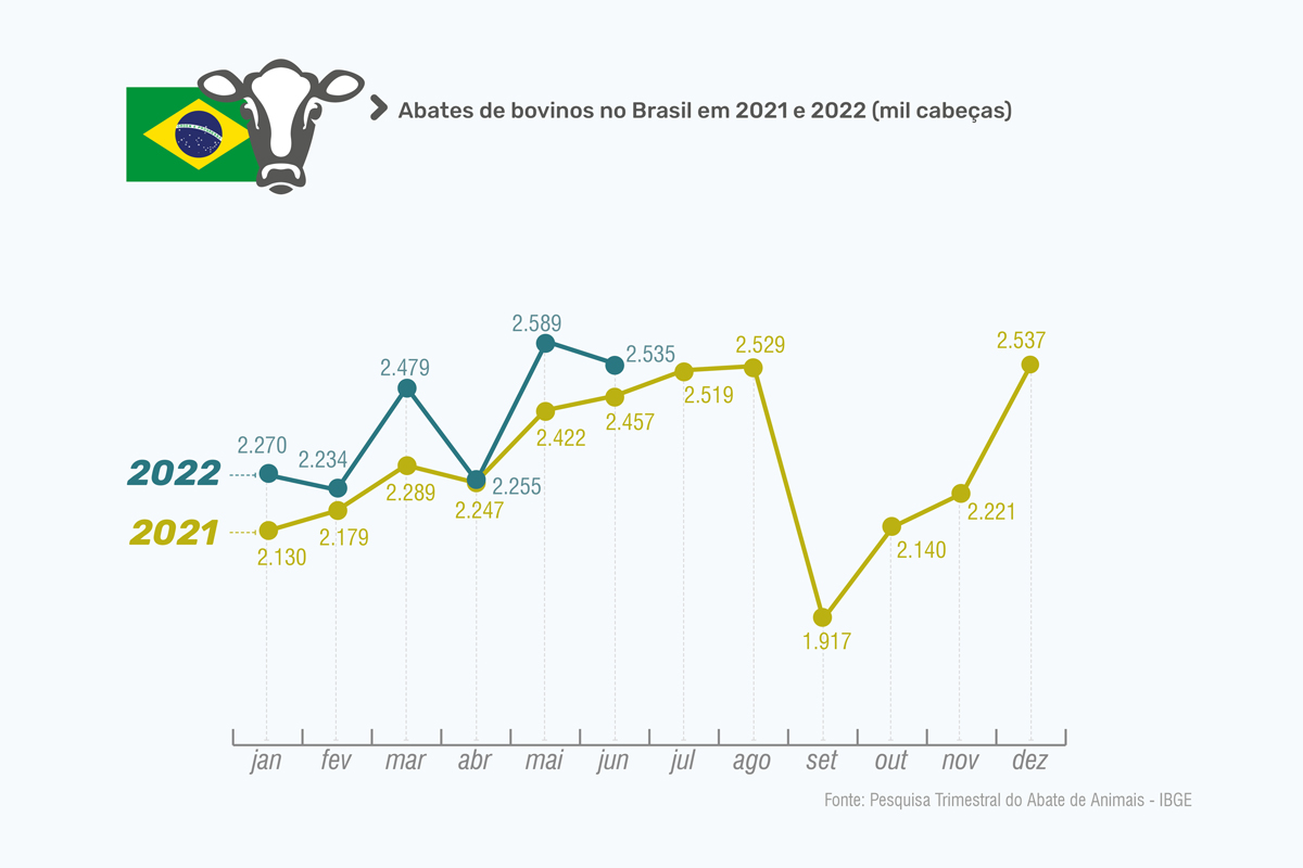 abates de bovinos no brasil em 2021 e 2022