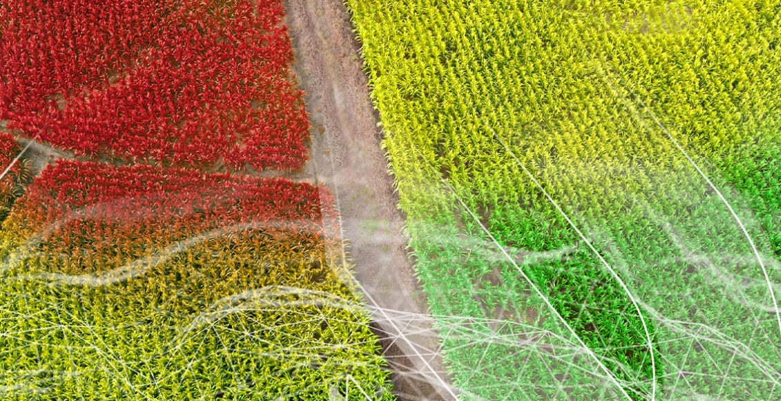 agricultura-de-precisao - Como utilizar a agricultura de precisão a seu favor