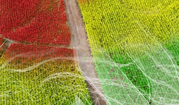agricultura-de-precisao - Como utilizar a agricultura de precisão a seu favor