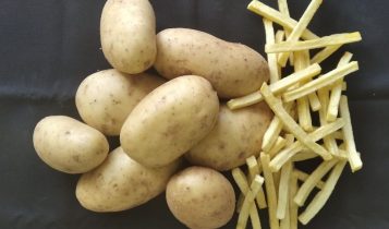 Embrapa lança nova cultivar de batata no dia 30 de novembro, em Cerro Largo/PR
