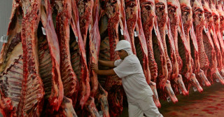 mercado de carne bovina