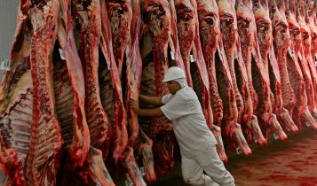 mercado de carne bovina