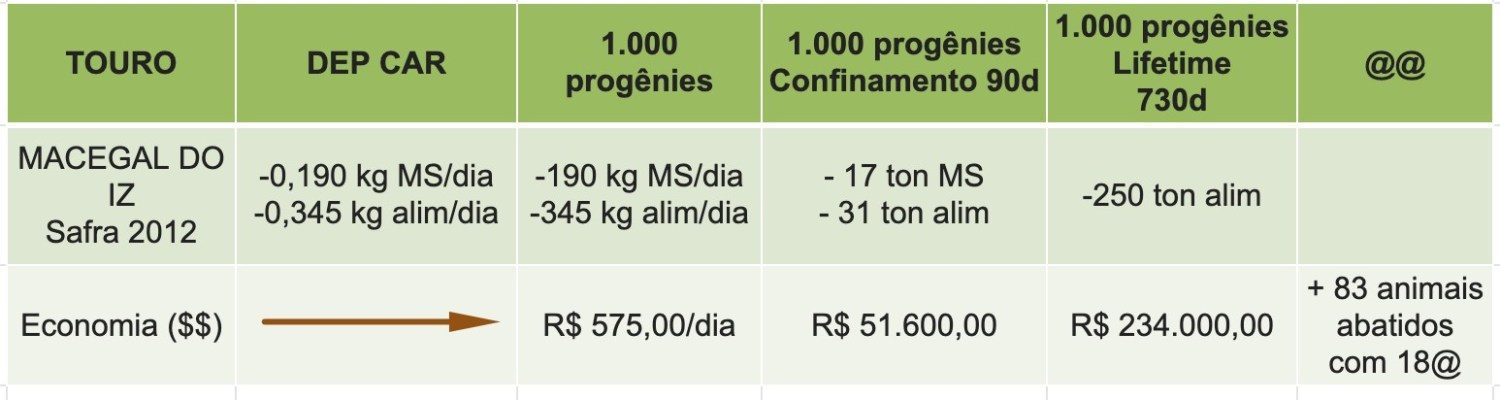 consumo alimentar ddo gado de corte