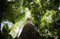 Programa de Regularização Ambiental ganha novo prazo para implementação