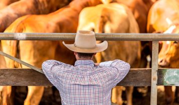 Governos querem saquear o produtor rural com impostos
