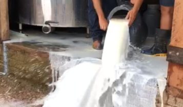 crise do leite ressarcimento a produtor rural em caso de perdas decorrentes da falta de luz