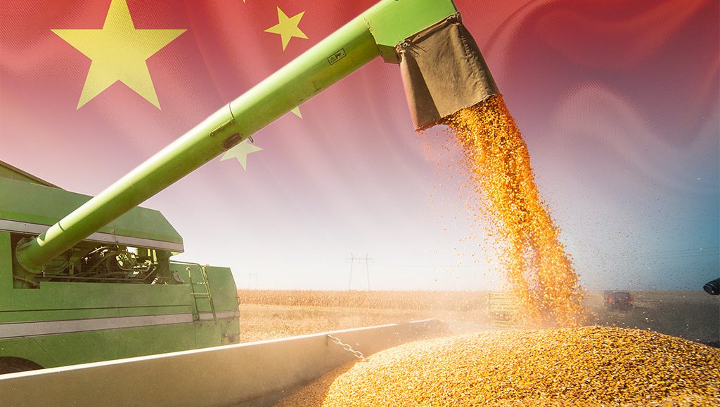 milho para a china