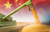 milho para a china