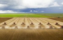 Embrapa propõe nova era para o Cerrado