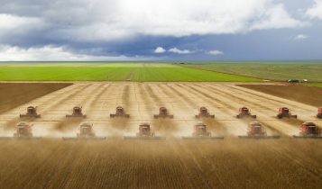 Conheça os 4 gigantes que controlam o mercado mundial da soja