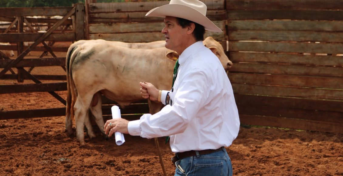 tiago jacintho - pecuarista no paraguai