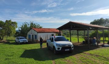 Homem é preso por golpe financeiro que envolvia cabeças de gado