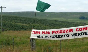 Norma do Incra proíbe reforma agrária em áreas ocupadas por posseiros
