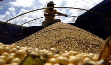 Ucrânia inicia colheita de grãos de 2023