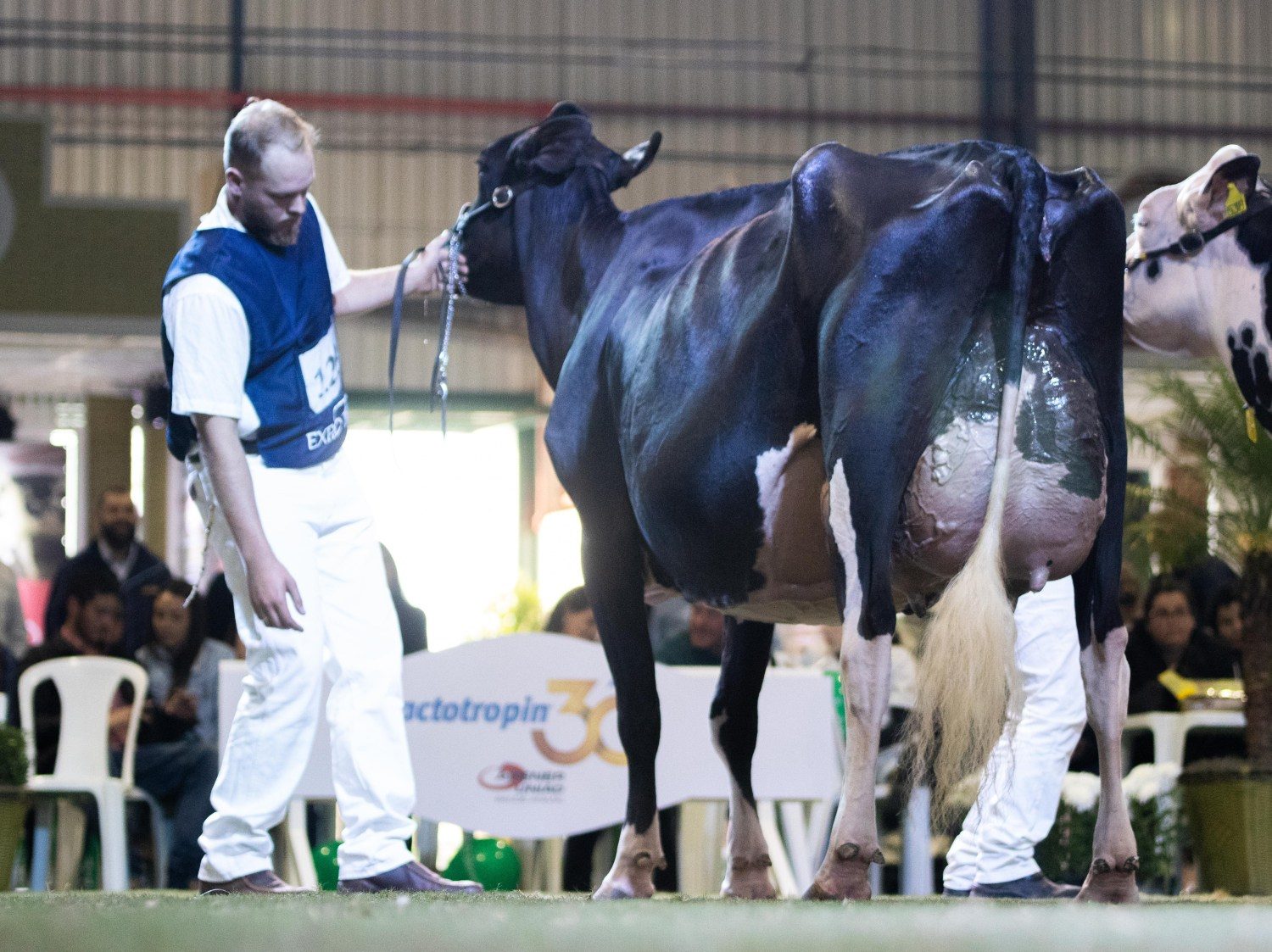 Rhoelandt 2768 Bessie Sid Eric EX-93 2