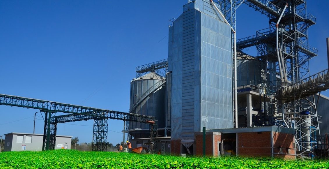 Tecnologia de secagem de grãos torna operação até 5 vezes mais rápida que os secadores convencionais