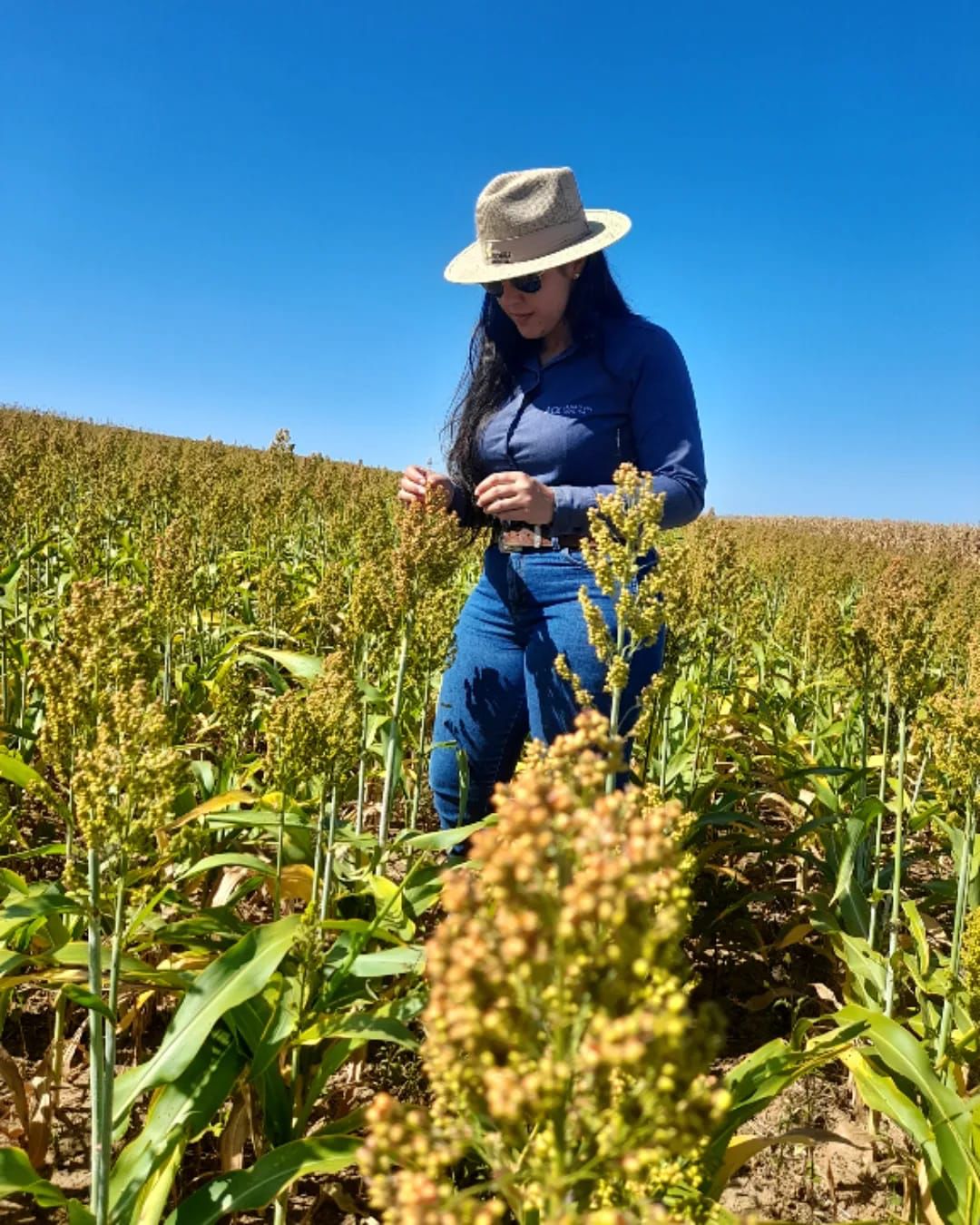 Tecnologia no campo é a chave para aumentar a produtividade da nova safra de grãos