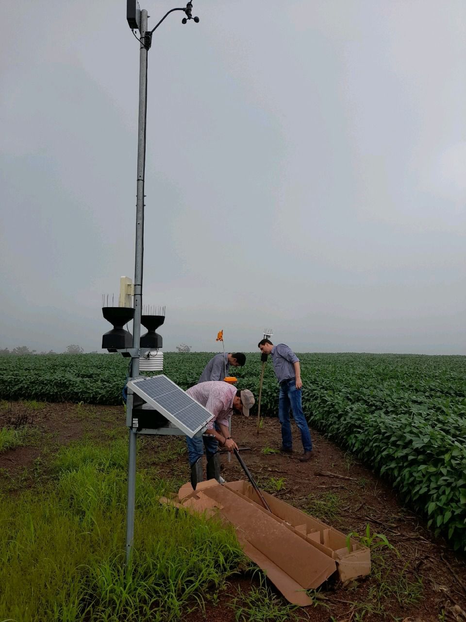 Tecnologia no campo é a chave para aumentar a produtividade da nova safra de grãos 