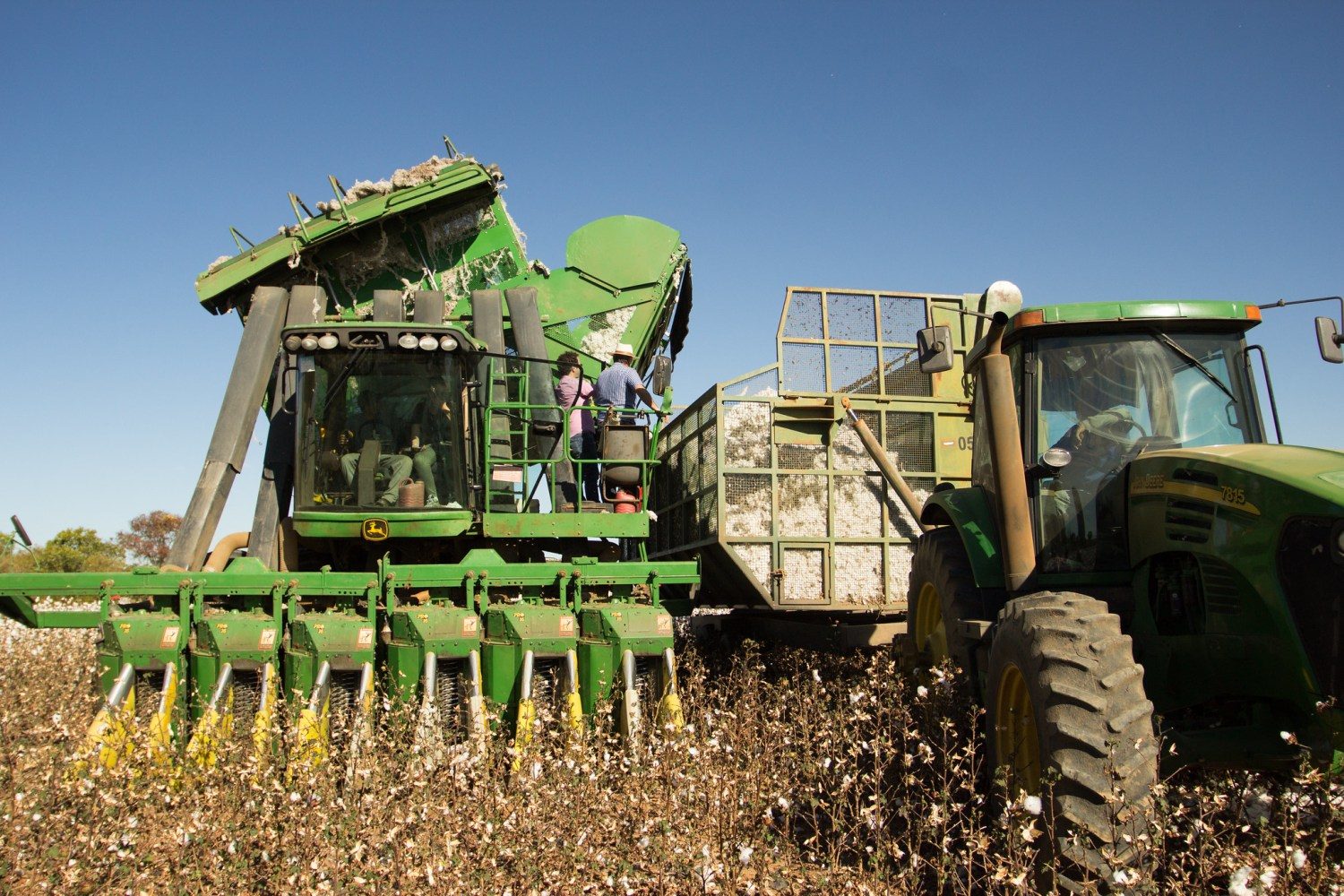 Terceiro dia da visita da comitiva do AgroBrazil conheceram a tecnologia empregada no desenvolvimento da soja e do algodão no oeste da Bahia