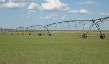 Ciência desenvolve práticas que mitigam a emissão de gases de efeito estufa no cultivo de arroz irrigado